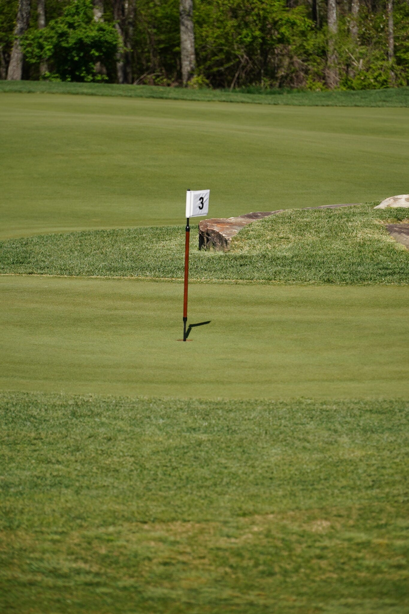 The Quarry at Druid Hills