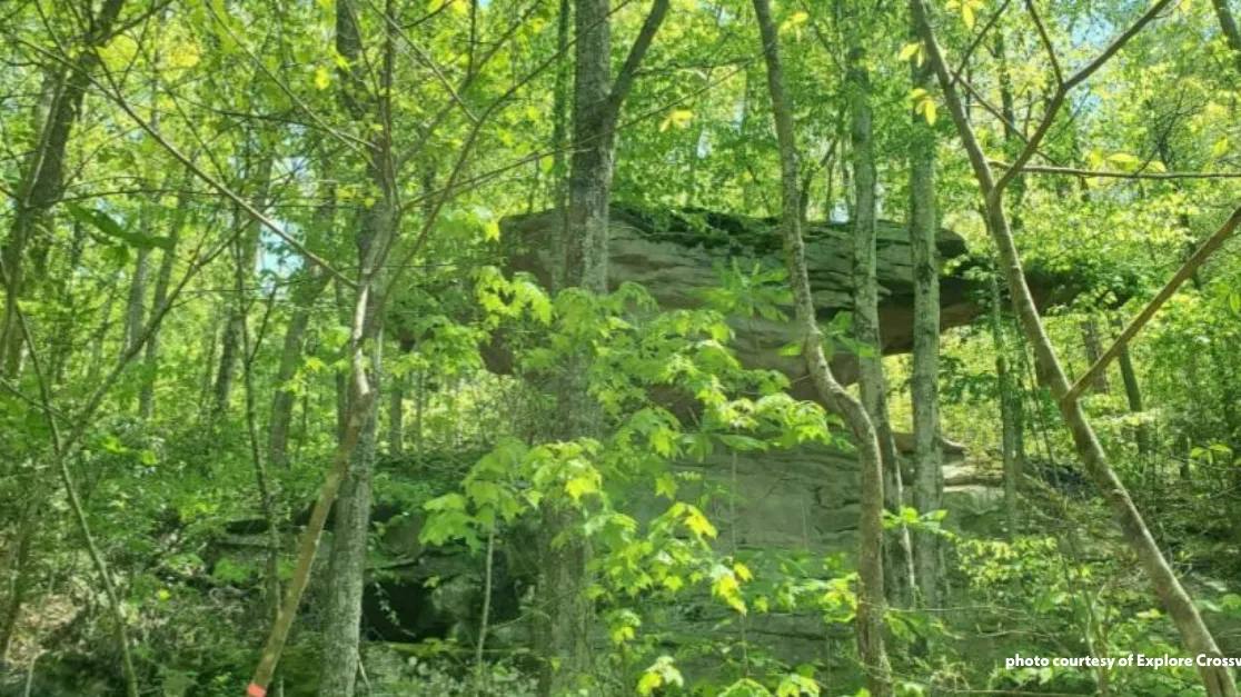 Crab Orchard Mountain Segment: Devil’s Breakfast Table Segment