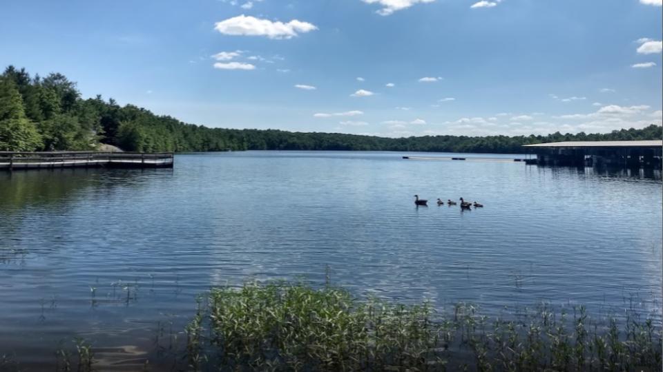 Meadow Park Lake