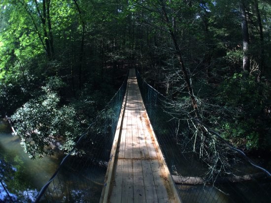 Overnight Trail at Cumberland Mountain State Park