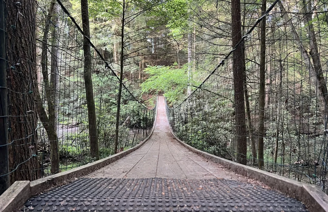 Pioneer Trail