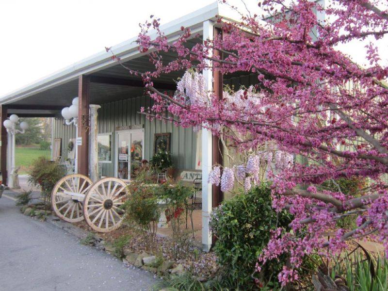 Rocking Horse Antique Gallery